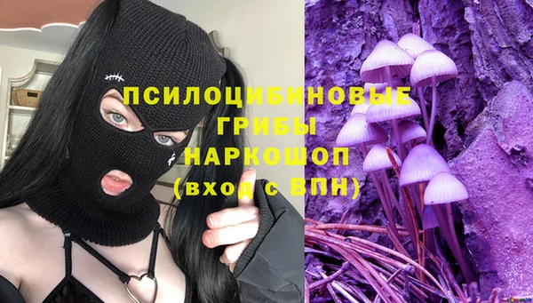 бутират Бородино