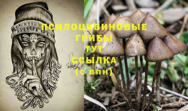 ALPHA-PVP Верея